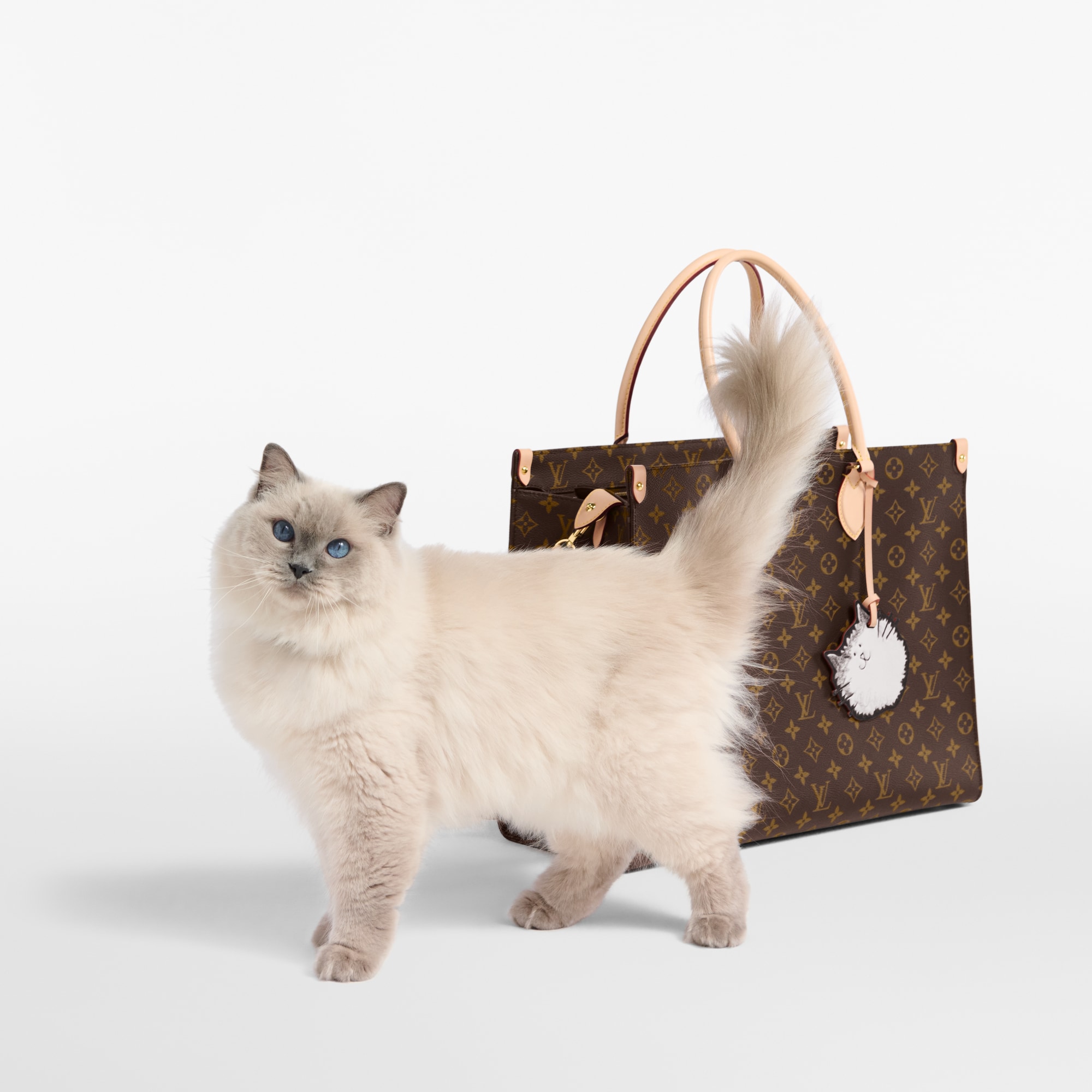 OnTheGo Cat Monogram Canvas - Travel | LOUIS VUITTON